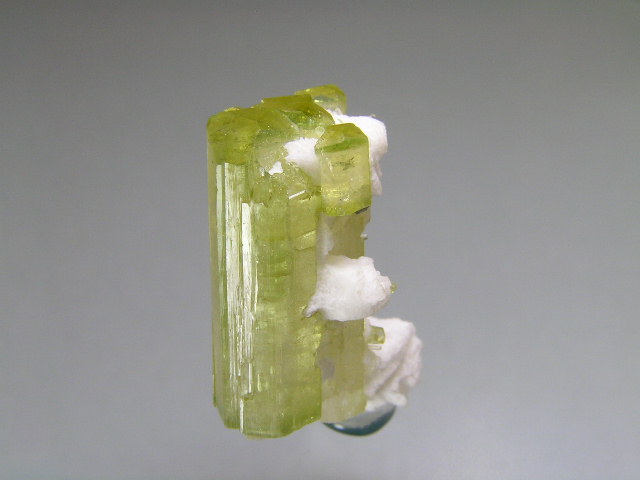 ossi p562.JPG